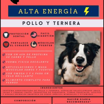 VITALDOG – Alta Energía – Mantenimiento completo para perros adultos – Pollo y Ternera