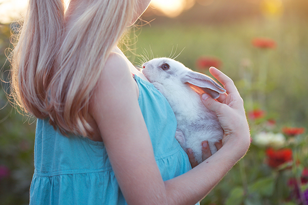 ¿Cómo demuestran su amor los conejos?