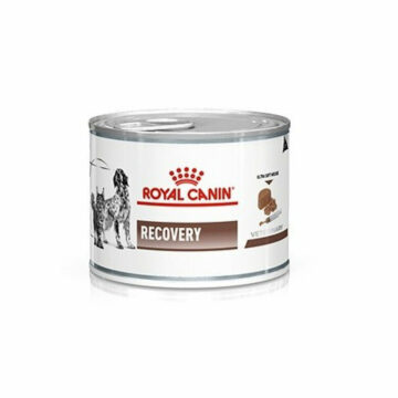 Royal Canin Recovery Perros y Gatos Convalecientes 195g (x12ud)