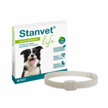 Stangest Collar Stanvet Life Dog