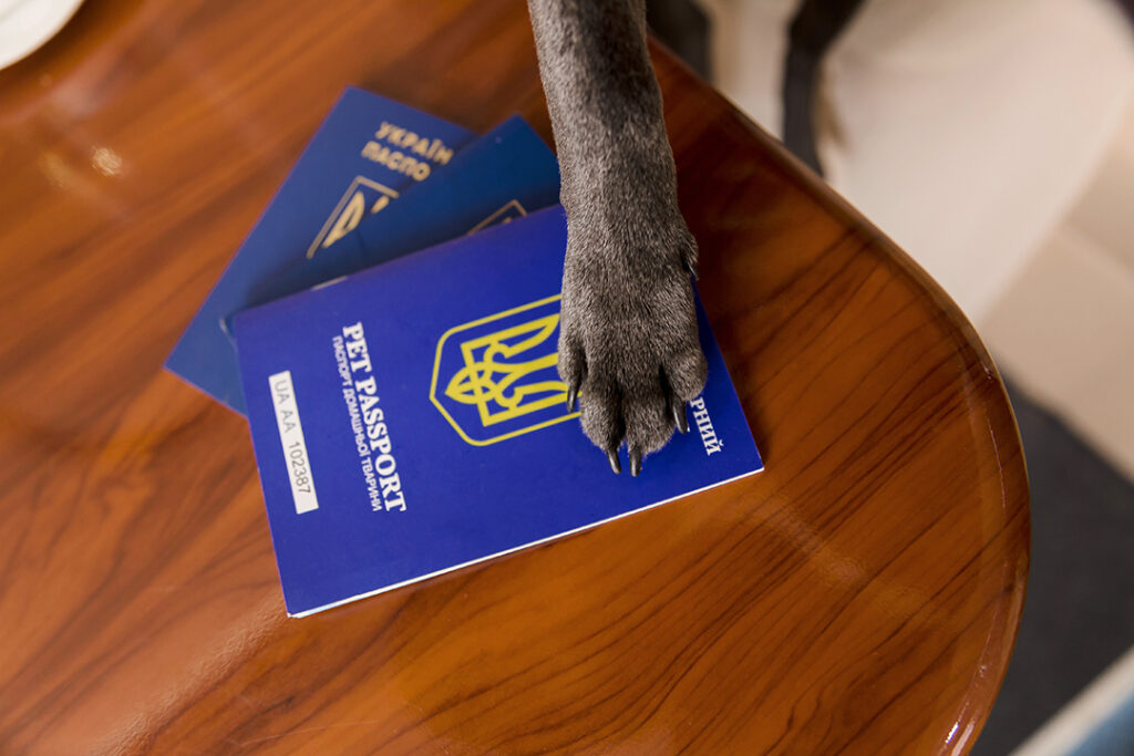 pasaporte para animales domésticos