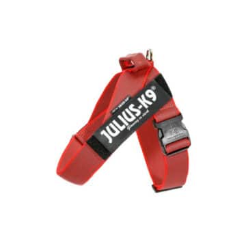 Julius Arnes Cinta IDC Mini Rojo