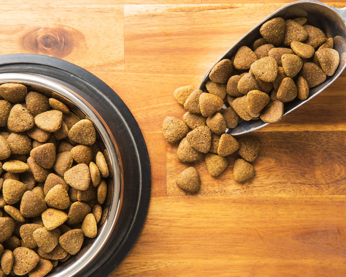 Lee más sobre el artículo Una vida más saludable con la dieta natural: cómo elegir la mejor comida natural para tu perro