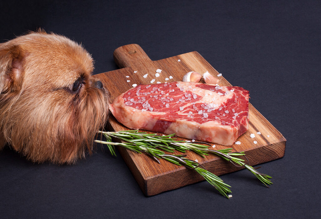 carne-proteinas-para-perros