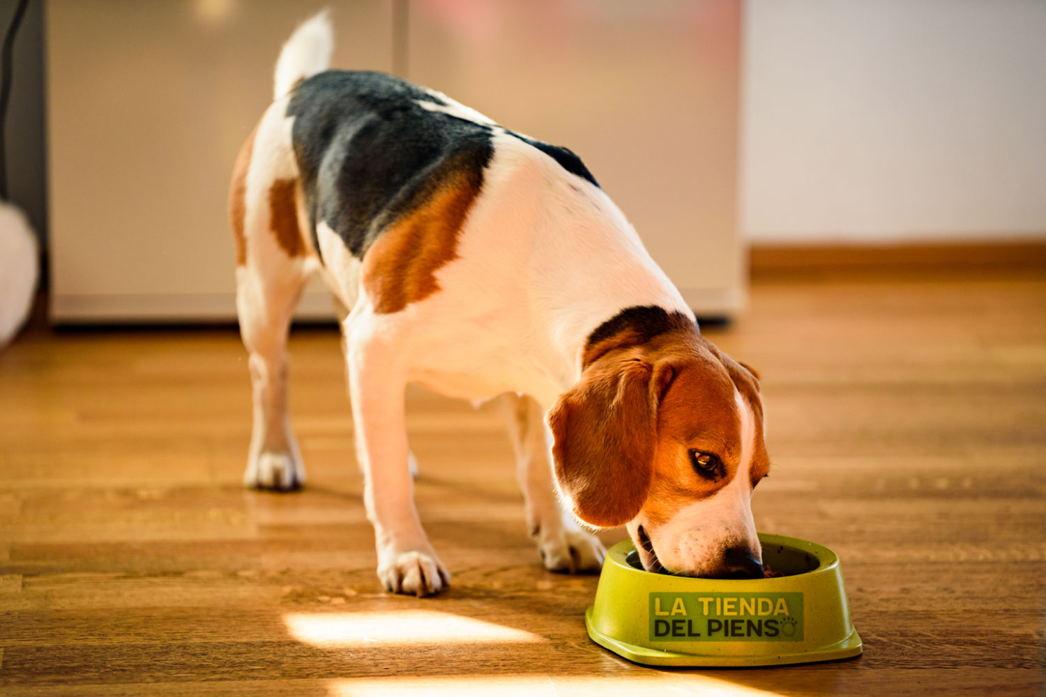 Read more about the article Quality pet food at competitive prices